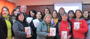 Capacitación y entrega de Videotecas Novasur 2012 en Peñalolén