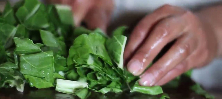 Cocina típica casera: Recorre Chile con la ruta de la comida de Novasur