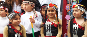 Novasur participó en la Primera Feria Regional de Educación en la Araucanía