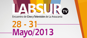 Novasur presente en Primer Encuentro de Cine y Televisión de La Araucanía