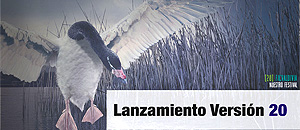CNTV y Novasur serán parte del Vigésimo Festival Internacional de Cine de Valdivia