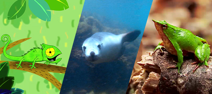 10 increíbles hechos sobre animales que te sorprenderán ¿Los conocías?