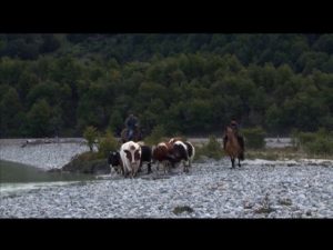 CAP_1_ JOSEOLIVAREZ_COCHRANE4