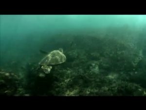 CAP_3_PIOHAOA_ISLADEPASCUA2