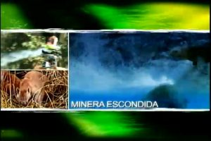 JuanFernandez3