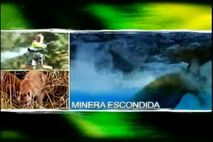 PescadoresDeLangosta3