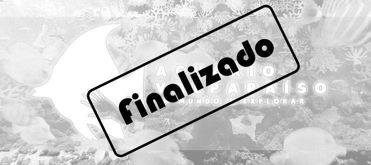 Finalizado: CNTV-Novasur regala entradas para ir al Acuario de Valparaíso en vacaciones