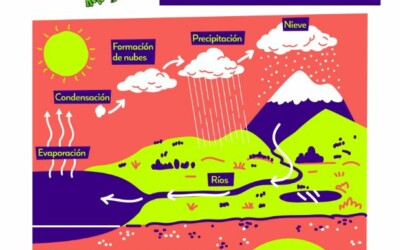 Infografía El ciclo del agua