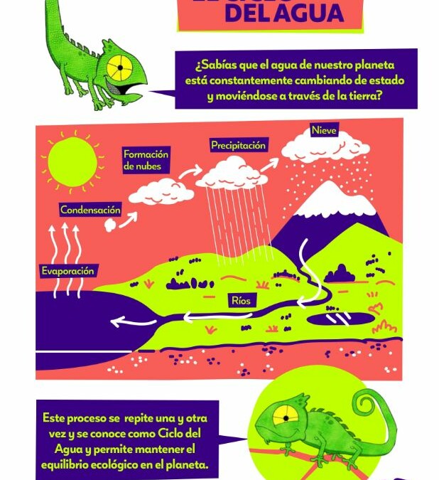 Infografía El ciclo del agua