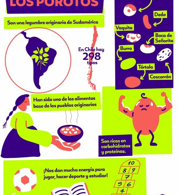 Infografía Los porotos