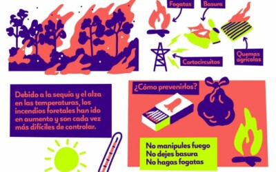 Infografía Incendios forestales