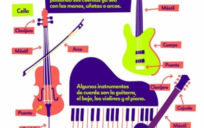Infografía Instrumentos de cuerdas