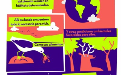 Infografía El hábitat