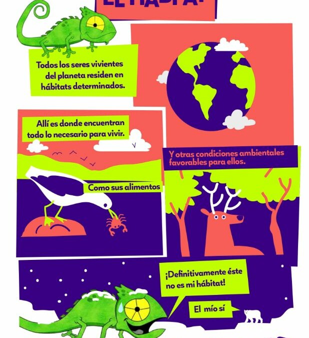 Infografía El hábitat