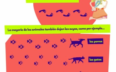 Infografía Las huellas