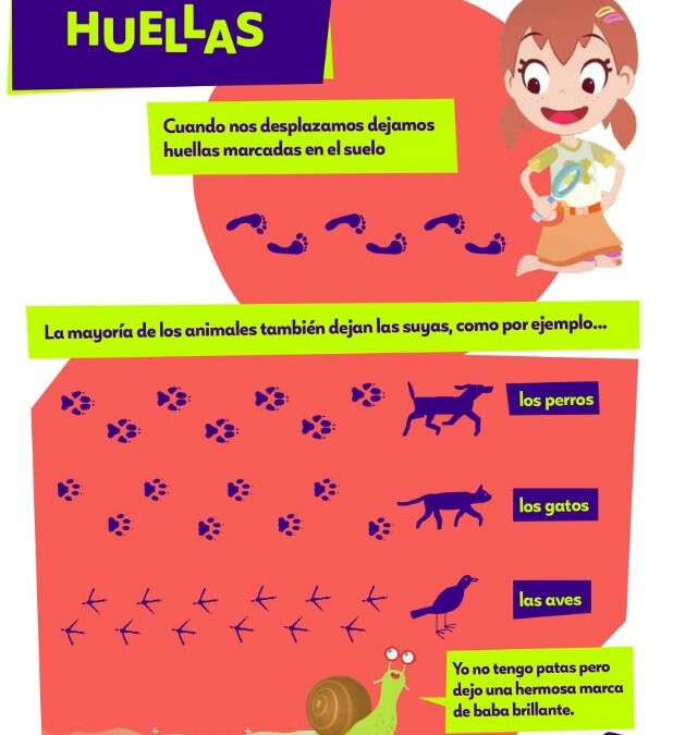 Infografía Las huellas