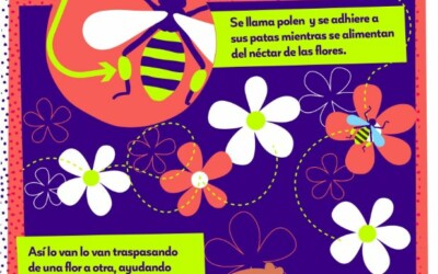 Infografía La polinización