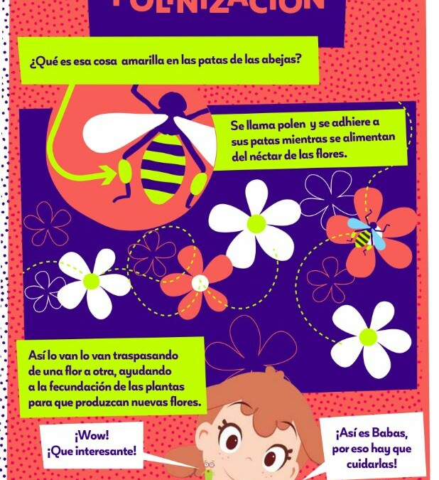Infografía La polinización