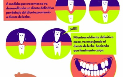 Infografía Dientes de leche