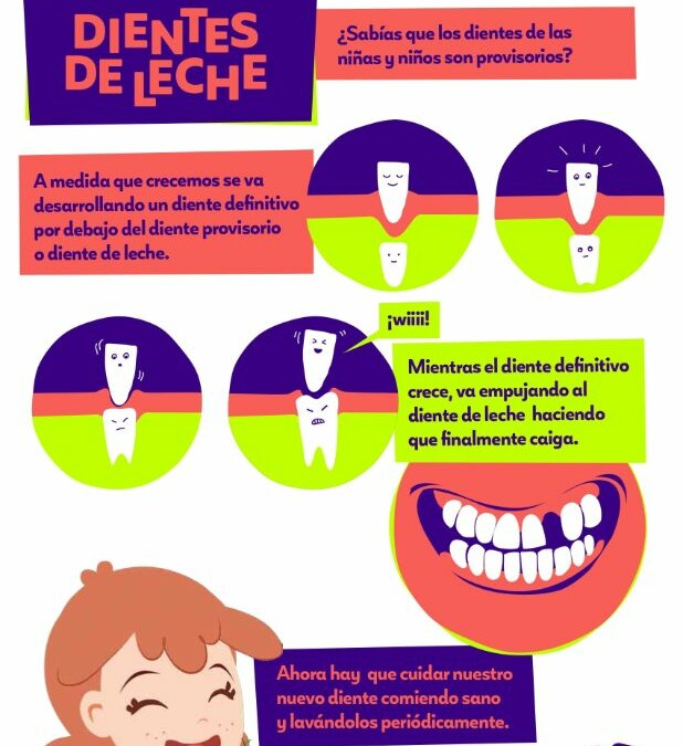 Infografía Dientes de leche