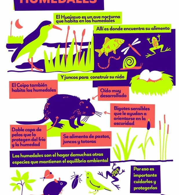 Infografía Humedales