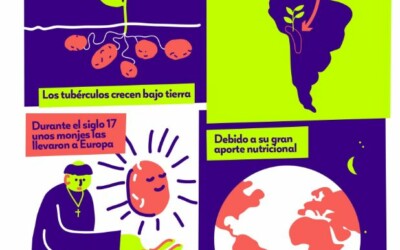 Infografía La papa
