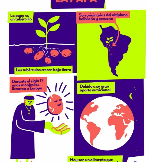Infografía La papa
