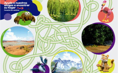Faunabulozoo: Laberinto de caminos